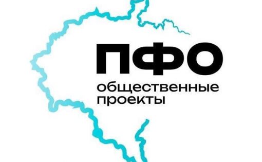 ПФО общественные проекты.